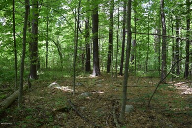 unlisted-address, Great Barrington, MA 01230 - photo 2