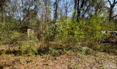 1329 Beaver Dam Rd, Bonifay, FL 32425 - photo 4