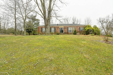 wood valley by CWDavis003