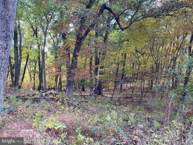 13 High Knob Rd, Old Fields, WV 26845 - photo 5