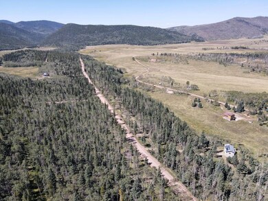 0 Petito Dr unit 25748588, Fort Garland, CO 81133 - photo 6