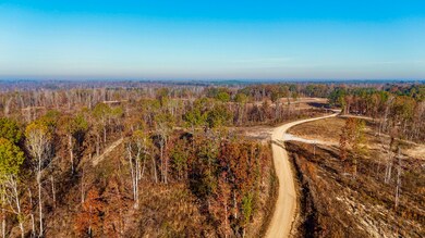1 County Road 4251, New Site, MS 38859 - photo 5