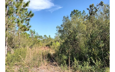 0 SW Spur Rd unit 121583, Lee, FL 32059 - photo 3