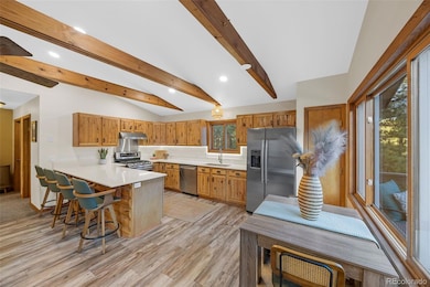 22 Driver Rd, Bailey, CO 80421 - photo 3