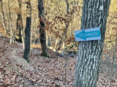 53 Hope Dr, Bella Vista, AR 72715 - photo 3