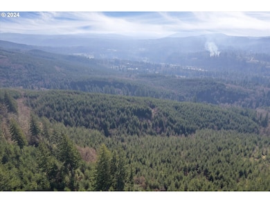 0 NE Cedar Mist Rd, Amboy, WA 98674 - photo 2