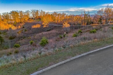 Lot 61 River Bend Dr, Dandridge, TN 37725 - photo 7