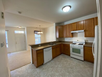 214 Springbrook Trail S, Oswego, IL 60543 - photo 3