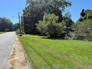 314 S Ash St, Spring Hope, NC 27882 - photo 3