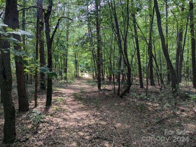 1537 Bess Chapel Church Rd, Cherryville, NC 28021 - photo 7