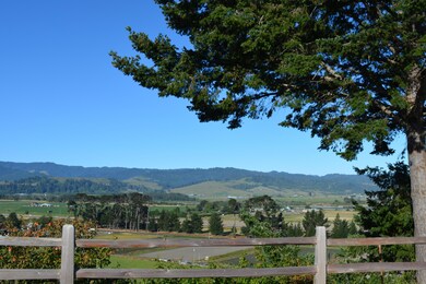 DSC_6250