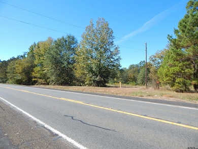 TBD 2 Acres Hwy 155, Gilmer, TX 75644 - photo 5