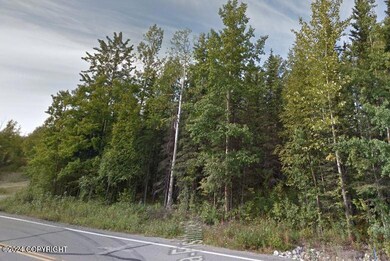 Side of Lot - Wasilla Fishhook