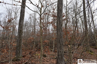 0 Morgan Hollow Rd, Olean, NY 14760 - photo 2