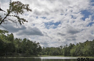 1930 Stonegate Cir, Tyler, TX 75703 - photo 4