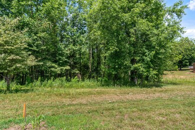 0 Fredonia Rd unit RTC2671348, Manchester, TN 37355 - photo 4