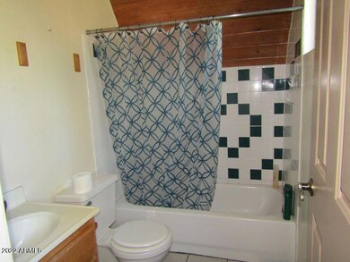 Downstairs bath