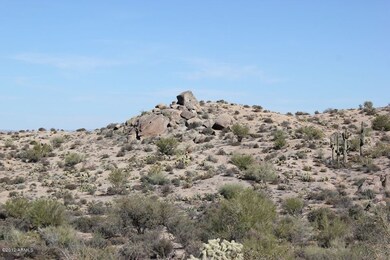 IMG_1822