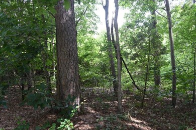 1 Oakgrove Rd, Asheboro, NC 27205 - photo 2