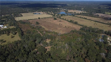 7 Acres Heintz Sharp Rd, Covington, LA 70435 - photo 2