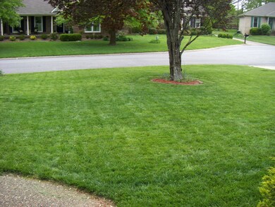 7403 Crabtree Dr, Louisville, KY 40228 - photo 4