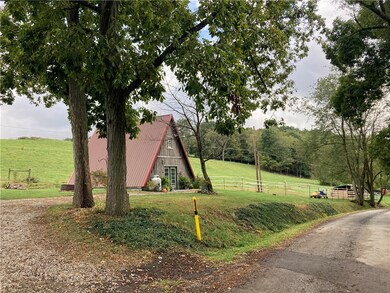 Gravel driveway leading to the A-Frame that fits 4