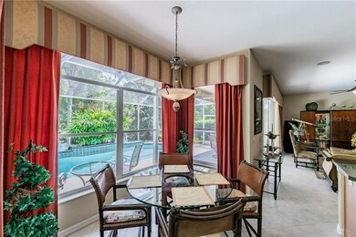 576 Lakewood Dr, Oldsmar, FL 34677 - photo 7