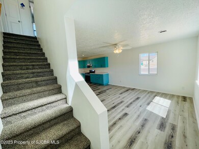 301 Valle Bonita St, Farmington, NM 87401 - photo 5