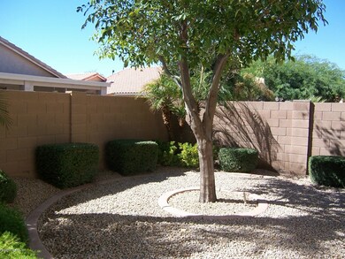 Back yard