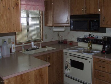 3505 Joshua Tree 003