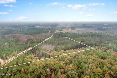 XXX White Rd unit 12.78 Acres, Chipley, FL 32428 - photo 6