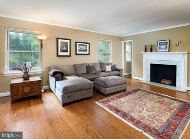 710 Morris Ave, Bryn Mawr, PA 19010 - photo 5