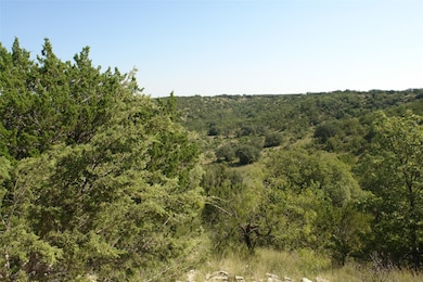 View of wooded area