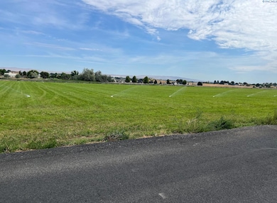 164504 Richards Rd, Prosser, WA 99350 - photo 3