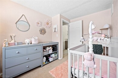 4835 Elmwood Dr, Sheffield Lake, OH 44054 - photo 7