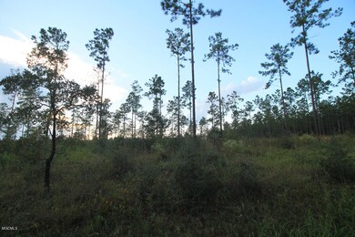 3.75 Ac Homestead Rd, Lucedale, MS 39452 - photo 7