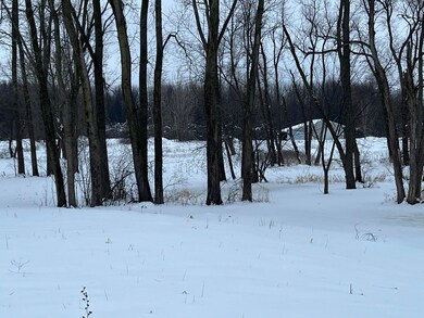 IMG_6532