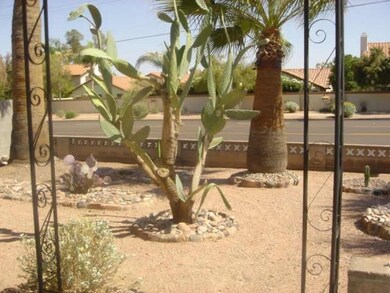 Side yard