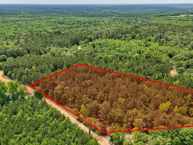 0 Lampp Rd, Gibson, GA 30810 - photo 2