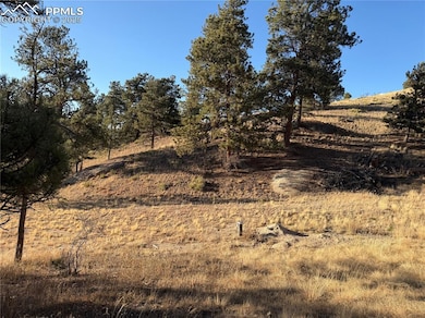 71 Elkhorn Cir, Florissant, CO 80816 - photo 2