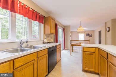 19 Brittany Ln, Stafford, VA 22554 - photo 3