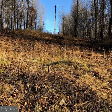 0 Swaim Ln unit WVMO108558, Berkeley Springs, WV 25411 - photo 6