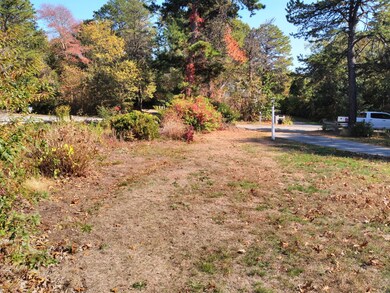 IMG_20201018_135423