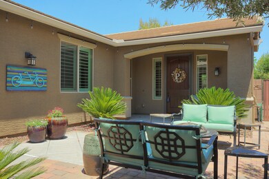 2470EBlueSpruce003