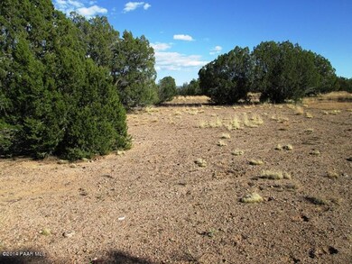 349130 No Name, Ash Fork, AZ 86320 - photo 6