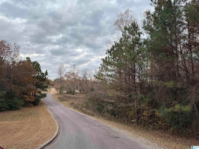 1 Springs Cove Rd, Warrior, AL 35180 - photo 5