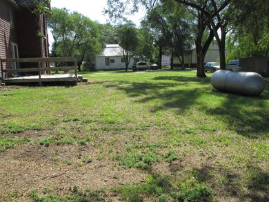 Back yard