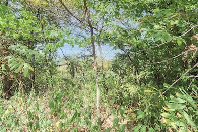 View of local wilderness