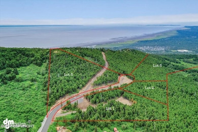 Ariel View of Neighborhood