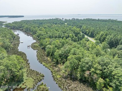 0 Pinecrest Rd unit 100461767, Bath, NC 27808 - photo 7